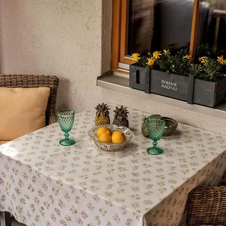 Mountainspirit Daire Mayrhofen