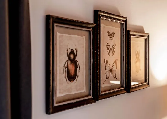 Mountainspirit アパート *