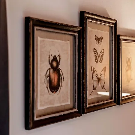 Mountainspirit Apartment *